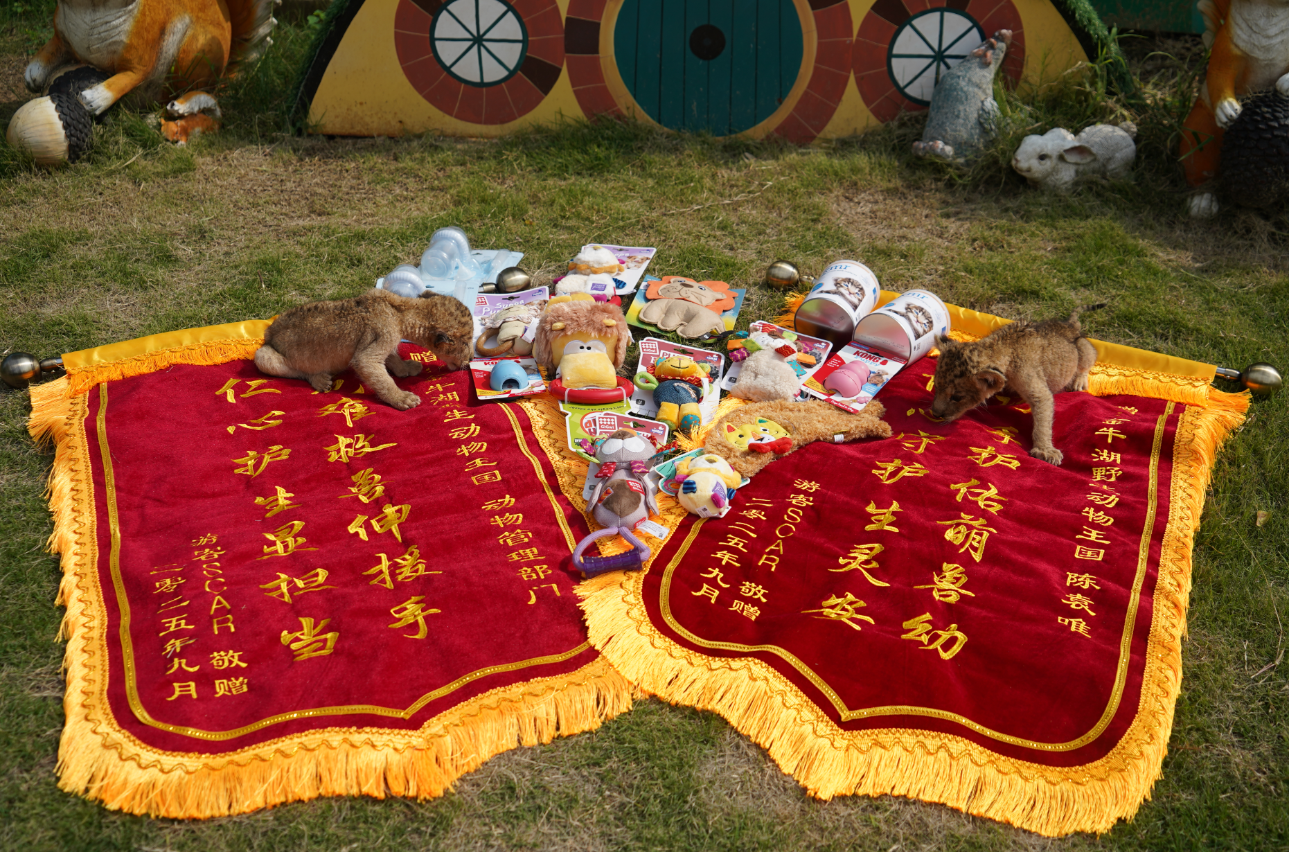 微信图片_2025-09-05_162637_449.png